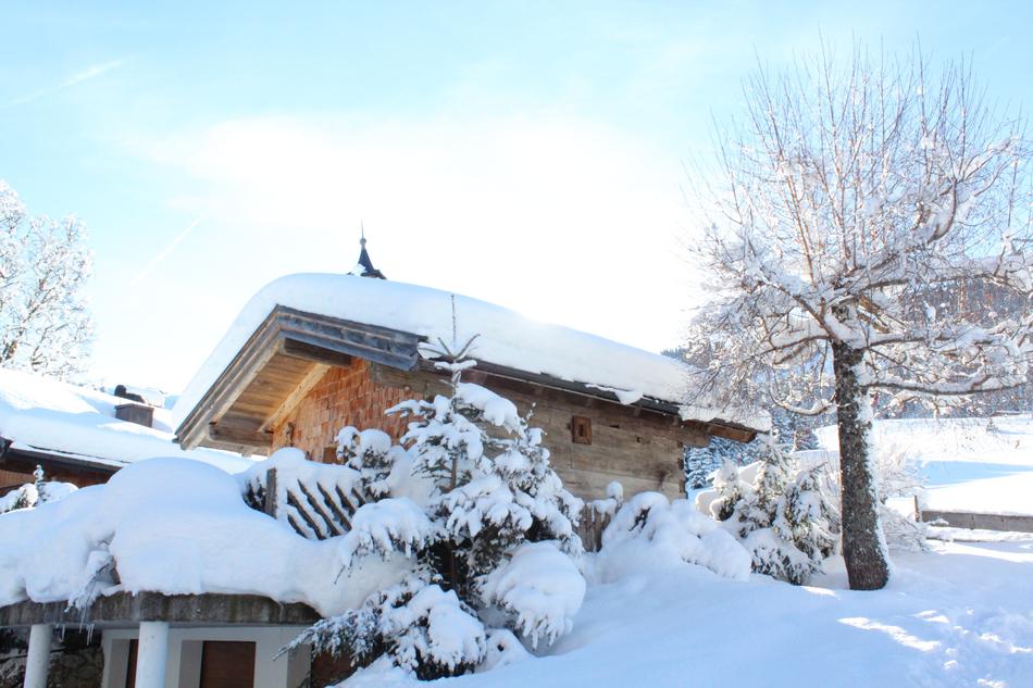amazing Snow House