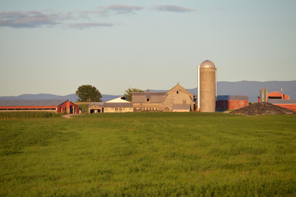 Barn Farm Field