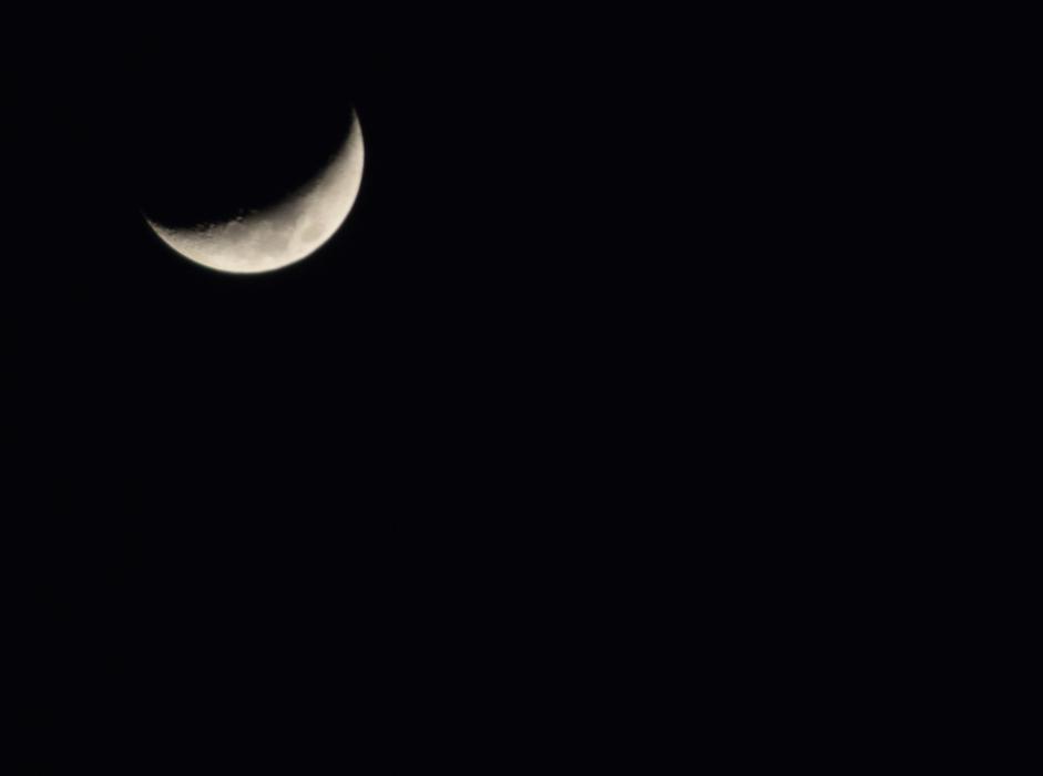 Moon Night