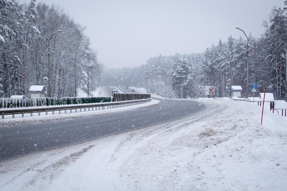 Road Forest Snowy
