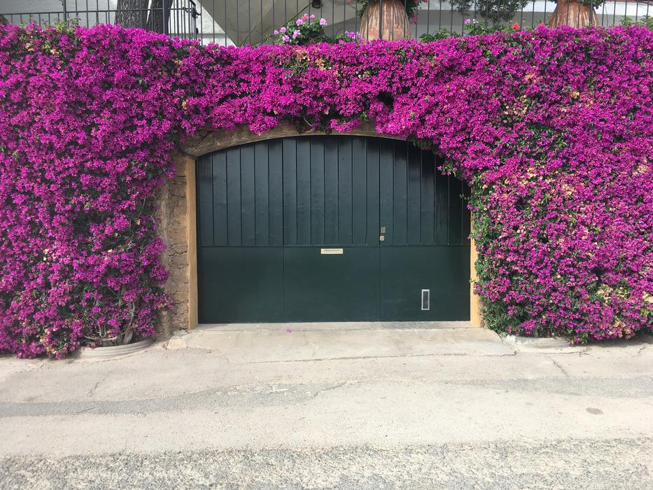 Porches Flowers