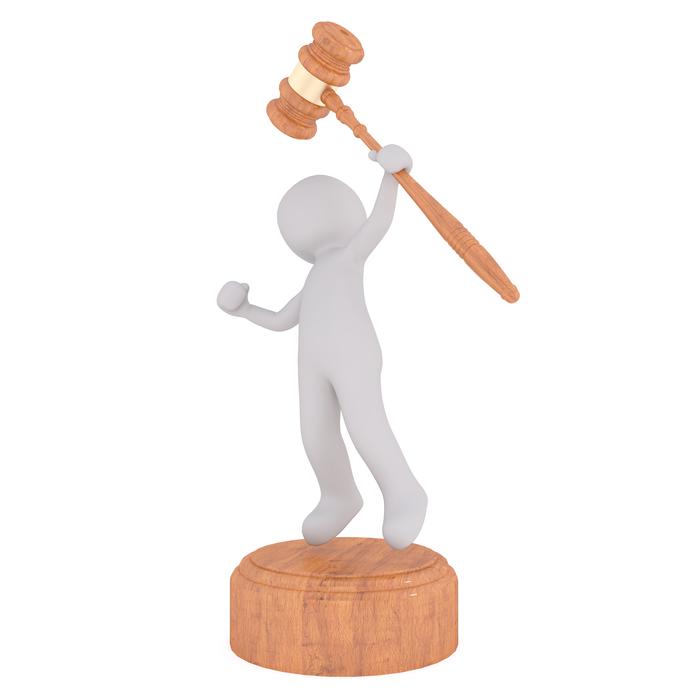 professions auction hammer bids