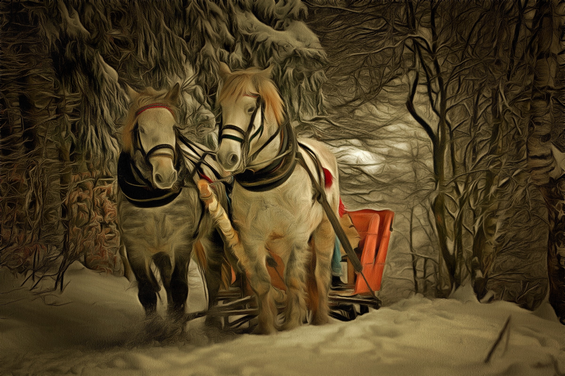Зимние кони картинки