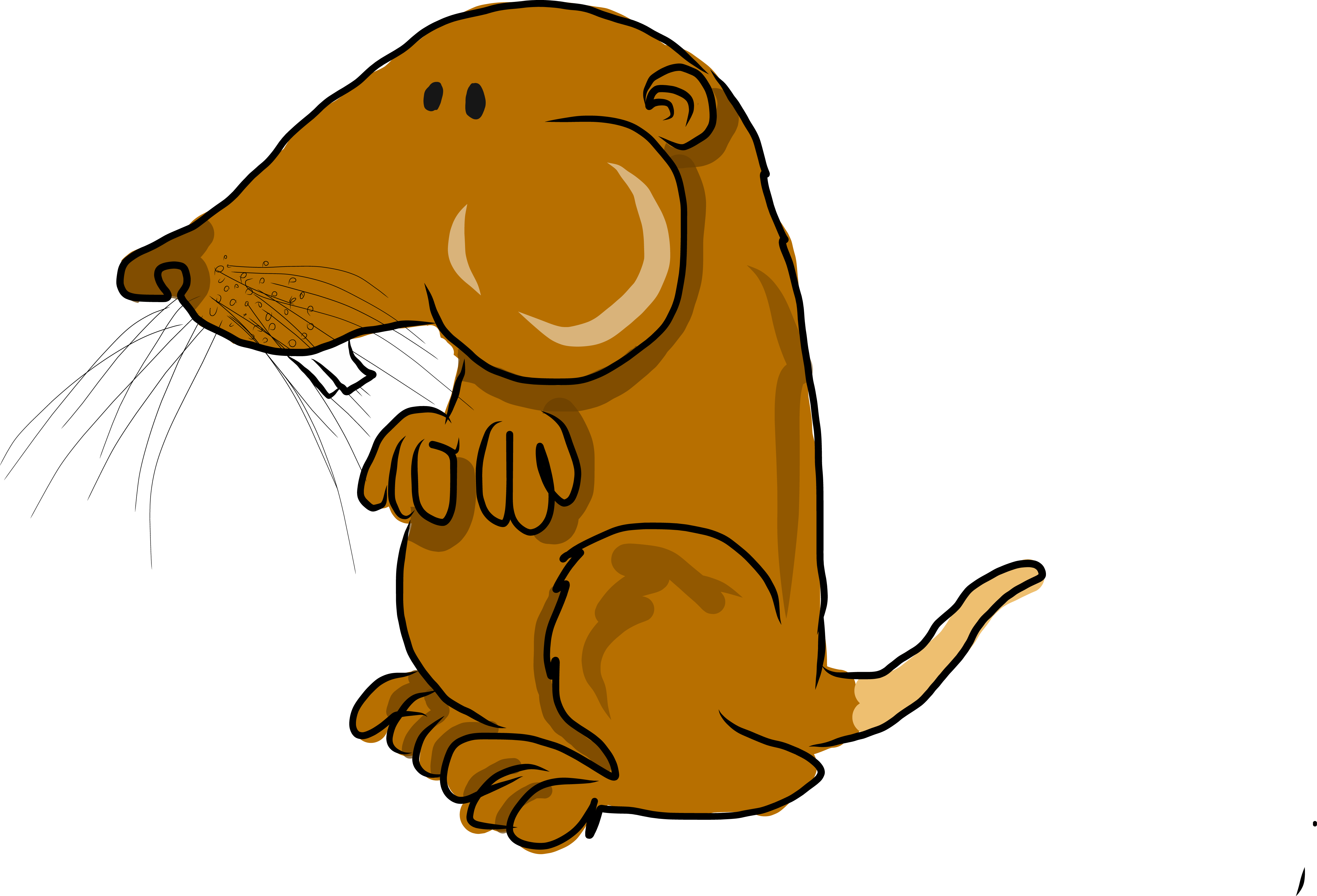 Pocket gopher mammal drawing free image download