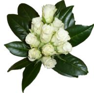 flower bouquet white roses sheet