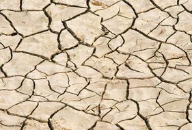 photo of cracks on dry ground