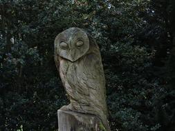 photo of a wooden sculpture of an owl