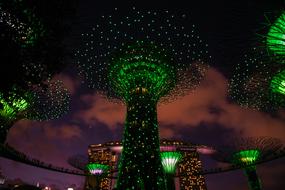 Light Super Tree Tourism