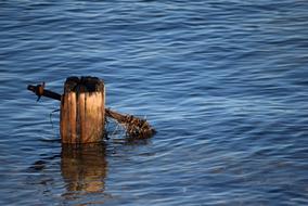 Water Pile Brown