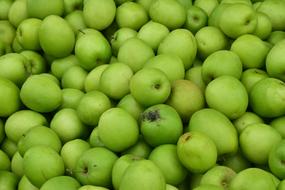 photo of a crop of green apples