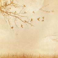background scrapbooking paper tre bird drawing