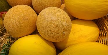 Melons Cantaloupe Fruit