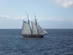 Schooner Sailing