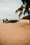 boat with sand and palm trees