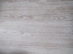wood blat tree floor wooden wall
