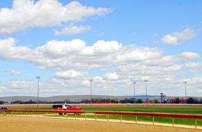 Race Track Farm