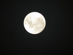 Moon Night