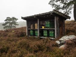 Beehive Heathland Nature Reserve