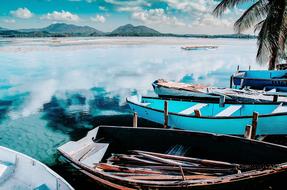 Boats Coconut Trees