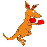kangaroo clip art boxing drawing