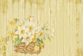 background easter spring flowers drawing