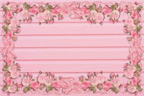 pink peony outline flowers