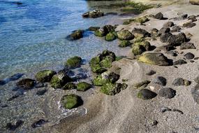 rocks in the moss by the sea