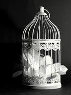 Decoration Cage Feather Black And
