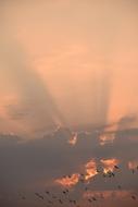 Cloud Sunshine Sky