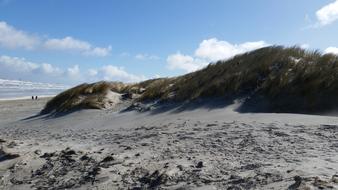 North sea Beach Dunes