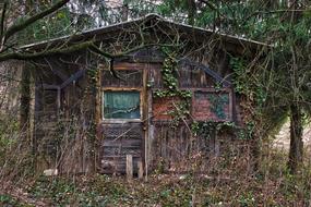 small wooden abandoned house