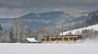 Tram Winter Speed