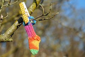 Sock Colorful Knitted Hand