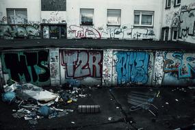 Backyard Garbage Graffiti