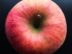 tasty red big apple