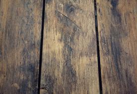 macro photo of a wood floor