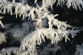 Winter Eiskristalle Frozen