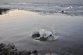 splash of water in the lake