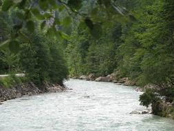 white waves of the river in the forest