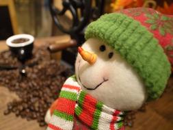 Winter Doll