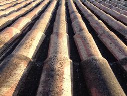 Texas Roof Construction Arab