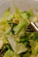 vegan healthy salad