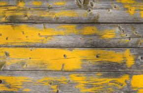 Texture Wood Wall yellow