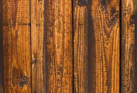 Texture Wood Wall grain