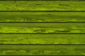 Texture Wood Wall green