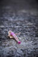 Doll in pink clothing and shoes on cement