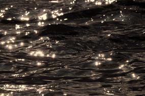 Lake Water Wavesun