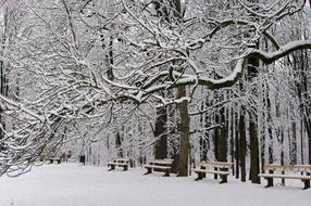 Park Bench Winter