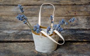 Lavender Basket Composition