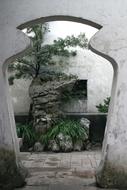 China Bonsai